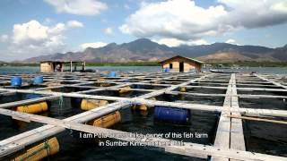 preview picture of video 'Video Profile - Mariculture in Singaraja, Bali-Indonesia'