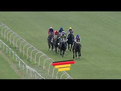 2021.02.13 Gauteng Fillies Guineas (RSA) - War of Athena