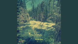 Gray Music Video