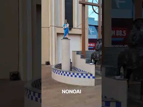 NONOAI