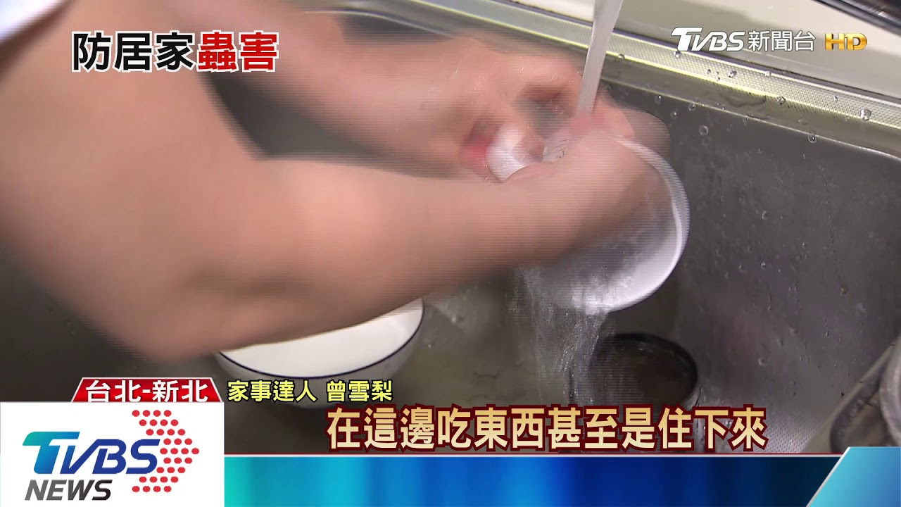 蟲蟲危機再現! 濕熱天氣如何防居家害蟲
