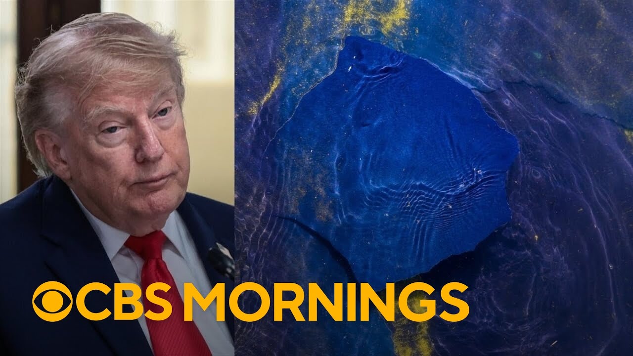 Trump again alleges vandals damaged Reflecting Pool: "They went in there with a knife"