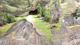 El Perro del Mar - Broder (Official video)