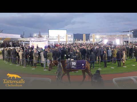 Tattersalls Cheltenham Festival Sale Review 2025