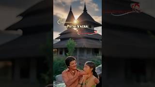 Download lagu Pothi Vacha Malliga mottu status | S.P.Balasubrahmanyam | S.Janaki | Ilayaraja | tamil whatsapp mp3 Download lagu Pothi Vacha Malliga mottu status | S.P.Balasubrahmanyam | S.Janaki | Ilayaraja | tamil whatsapp mp3