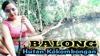 Download lagu Mancing di KOLAM HUTAN' kampung pedesaan,ikan ya banyak di sinih mp3 Download lagu Mancing di KOLAM HUTAN' kampung pedesaan,ikan ya banyak di sinih mp3