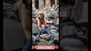 😥Real and sad story that make you cry😥 #interestingclips