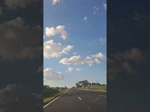 São Simão _SP #estrada