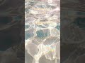 Thx For 21 Subs Nature