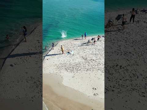 Tallebudgera Beach #shorts #queensland #australia #beach #beachlife #beachvibes #love #viral #aus