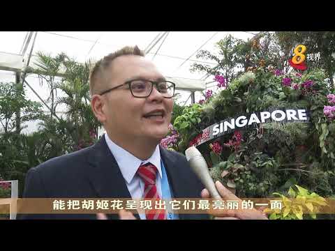 中国北京世界园艺博览会今晚开幕 我国也参展
