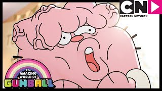 Gumball | Nicole&#39;s Special Day | The Fuss | Cartoon Network