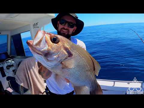 FRASER ISLAND,  RED EMPEROR HEAVEN
