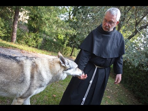 4 ottobre 2019, Festa di San Francesco di Assisi