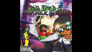Download lagu 313 Flow (2011) - SJ5D | Cali Kush & Summer Nights mp3