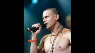 Calle 13 - Crashhh!