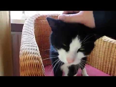 Anna get's uhm wants attention