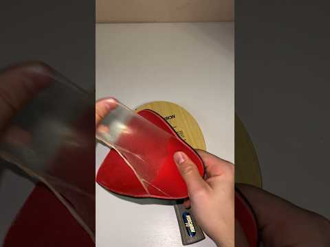 Butterfly Viscaria + Butterfly Tenergy 19 + Tibhar Evolution MX-S🔥🏓 #tabletennis #pingpong