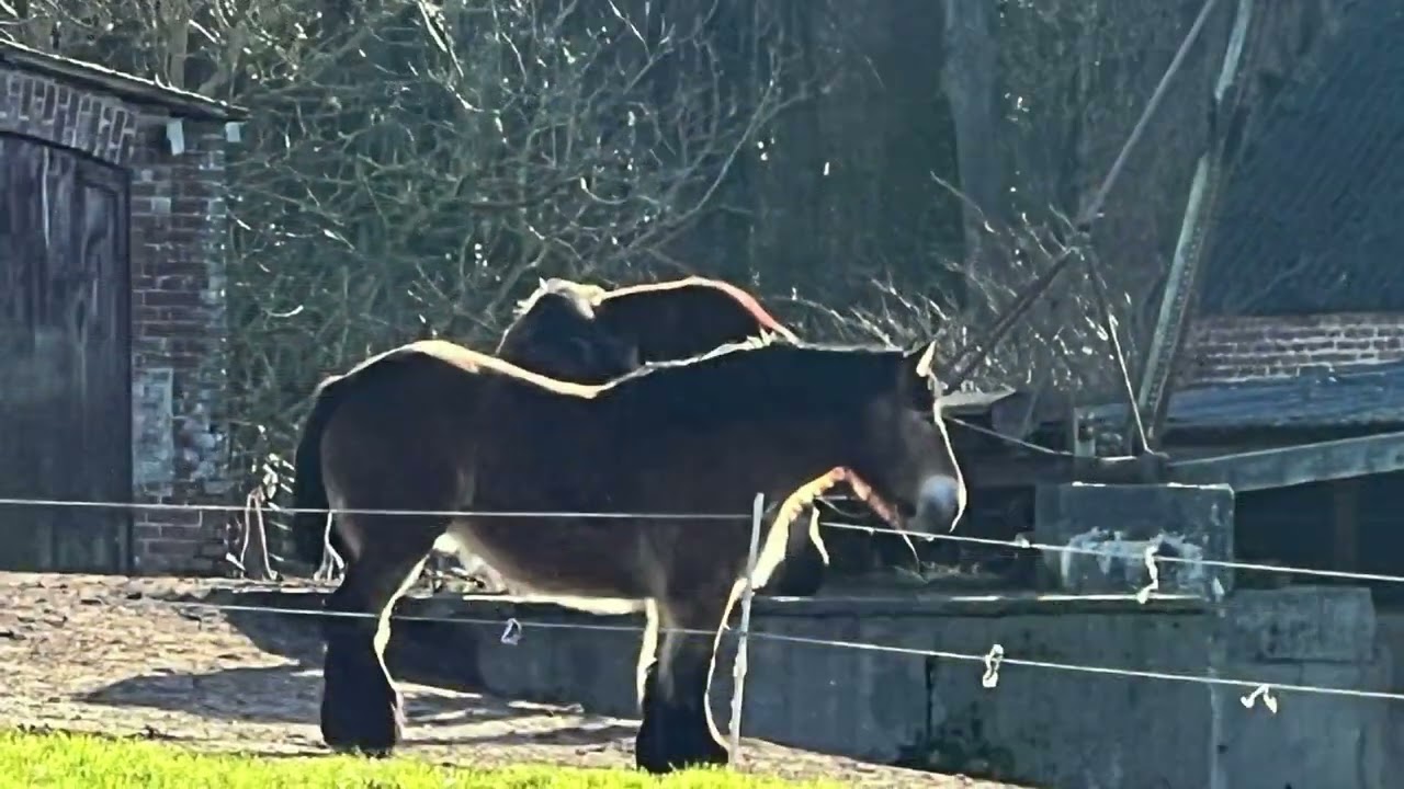 Wandelen in het 'Toscane van de Lage Landen': De Ter Rijstwandeling #Pajottenland #wandelen