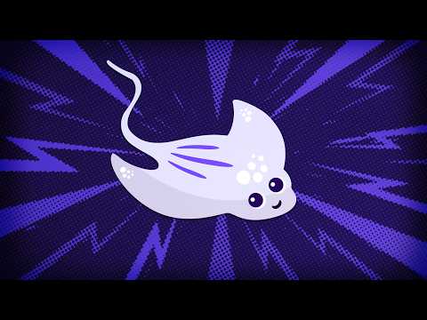 INTRODUCING STREAMS: New Intelligent Octopus Go Feature
