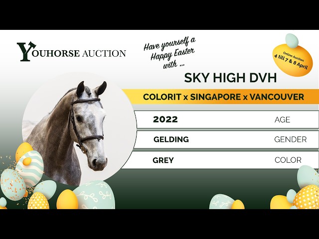 Sky High DVH