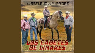 Adios Mi Amor