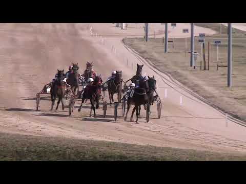 2023.03.04. 02. futam - REDWOOD VITA DÍJ