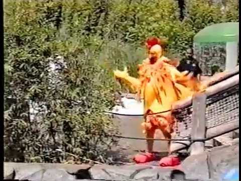 Cachureos 95' Vídeo Clip Kikiri Ki Le Haga (versión verano)