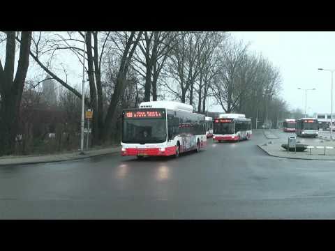 Autobussen Veolia Haaglanden in Delft