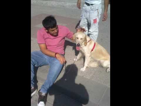 Olgun-Cebeci Marşı