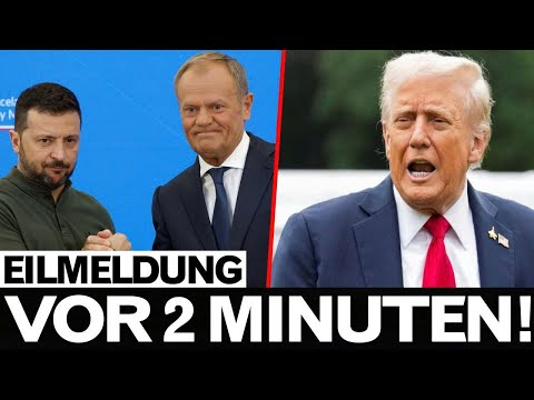 Pentagon kappt Berlin! NATO zerreißt – Ukraine-Strategie kollabiert