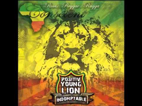 Positiv Young Lion - Une journée
