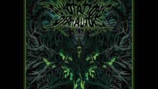 Annotations Of An Autopsy - Prosthetic Erection