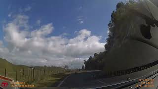 Blue springs to Bridal veil falls (North Island - New Zealand)