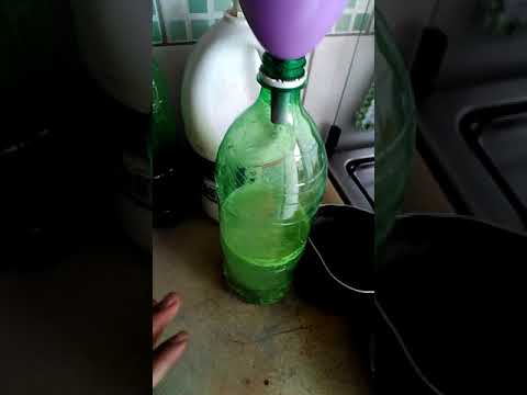 Como fazer ferro 2 em casa para suplementar sua aquaponia