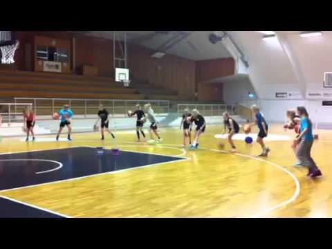 F02 Marbo tränar gammal Arvid-övning i flock