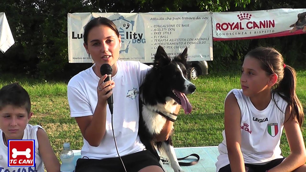 A.S.D. Luccagility Dog - San Pietro a Vico 25/07/2013 [FULL HD]