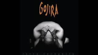 Gojira - Fire Is Everything