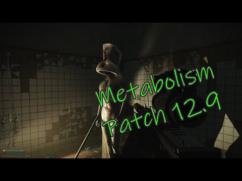 Metabolism Patch 12.9 - Escape From Tarkov