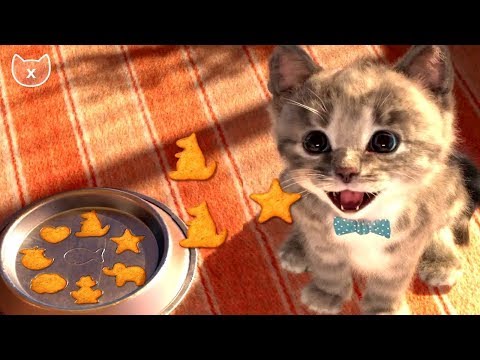 Play Fun Pet Animal Care - Little Kitten Preschool My Favorite Cat - Baby Learn Colors Fun Kids Game