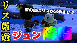 【住民厳選】リス縛り離島ガチャ！夜はリスが出やすいって本当！？オカルトを信じてジュンに逢いに行く！【あつ森】【あつまれどうぶつの森】