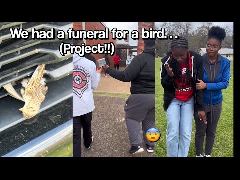 We had a funeral for a BIRD……*project*😨