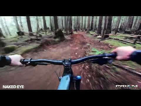 OAKLEY/Prizm Low Light