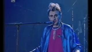 Georg Ringsgwandl live - Sekt