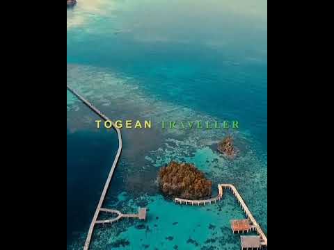 Togean Island (pulau papan Togean Traveller