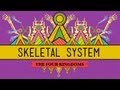 The Skeletal System: It's ALIVE! - CrashCourse ...