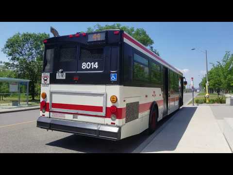 TTC Buses and Subways Summer 2019