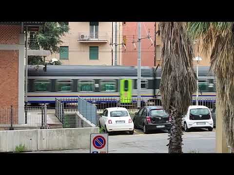 Mazinga in transito a Cogoleto