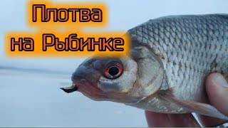 Когда открытие рыбалки на рыбинке в 2020