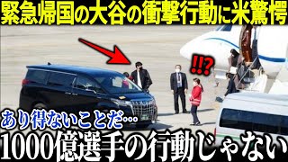 大谷が極秘帰国計画に米驚愕!!「1000億選手の行動じゃない…」大谷の素性に日米ファンパニック!!【海外の反応 MLBメジャー 野球 大谷翔平】